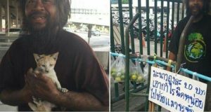 Il senzatetto fa qualcosa di eccezionale per salvare i gatti randagi del quartiere