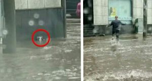 Stava affogando a causa di una violenta tempesta, il livello dell’acqua lo aveva quasi sommerso. Solo sul ciglio di una strada era ormai senza speranze…