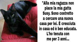 La sua ragazza gli dà un ultimatum: “o il gatto o io”. La risposta del ragazzo?…..Brillante!!