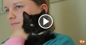 Una giovane donna autistica ritrova la sua voce grazie all’aiuto dei gatti neri