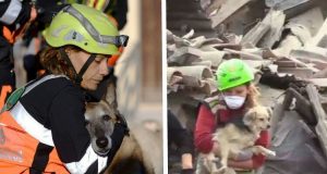 Le foto di tutti gli animali salvati tra le macerie, immagini commoventi che sciolgono il cuore