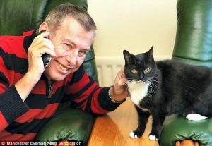 Amici animali, compagni di guarigione, come Tom il gatto che aiuta anziani e malati
