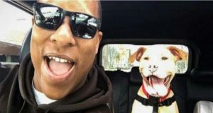 Il cane adottato posa per il suo primo selfie in auto col proprietario: la foto è virale