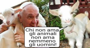 Ecco Cosa Rispondono 10 Animali A Papa Francesco