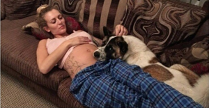 Mamma Bulldog a cui sono stati tolti i cuccioli