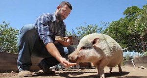 Un Avvocato ha Trasformato La Sua Residenza In Un Santuario Per Animali Salvati