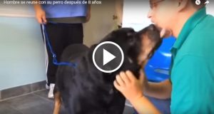 Un Uomo Ritrova Il Suo Cane Dopo 8 Anni Dalla Sua Scomparsa, Le Immagini Del Loro Incontro