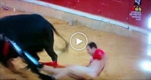 Un uomo è stato umiliato dopo che il toro lo ha lasciato completamente nudo nel bel mezzo della corrida…