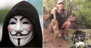 Anonymous Dichiara Guerra All’Assassino Di Gatti Ingaggiato Dal Governo Australiano