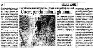 Carcere Immediato Per Chi Maltratta Gli Animali. Bufala O Notizia Vera?