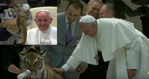 Papa Francesco Riceve Artisti Circensi Con Cuccioli Di Animali Selvatici E Sostiene Il Maltrattamento Degli Animali
