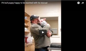 Un Cucciolo Viene Adottato Dall'uomo Che Gli Ha Salvato La Vita: La Sua Reazione è Uno Spettacolo