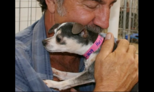 Questa Cagnolina Viveva Rinchiusa In Una Gabbia Destinata A Fare Cucciolate Di Continuo