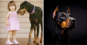 Il cane adottato da poco morde la figlia di 17 mesi. I genitori pensano di aver sbagliato a prenderlo ma quando capiscono il motivo rimangono senza parole
