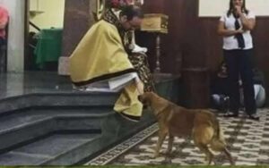 Un cane randagio entra in chiesa durante una messa, e il prete lo benedice