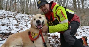 Hanno salvato più di 60 persone rimaste intrappolate dopo il terremoto del centro Italia. Vi presentiamo tutti i cani da macerie che aiutano i soccorritori