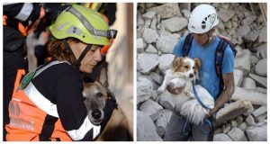 Terremoto Centro Italia. Oltre agli umani, anche tanti animali salvati tra le macerie