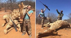 Ragazzina 12enne, toglie la vita degli animali per divertimento e poi si fa fotografare con i loro corpi per postare “le sue conquiste” su internet.