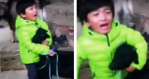 “Appena sono entrata è stato uno shock. Erano tutti ammassati, sporchi e senza cibo. Ho visto oltre 300 topi, un po’ vivi e un po’ morti. La cosa più triste è che non avevano mai conosciuto una carezza. Io dovevo salvarli”