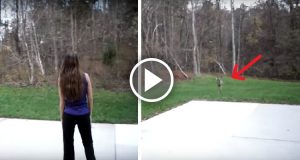 La rinascita di Charlie, la gatta gettata nella calce [VIDEO]