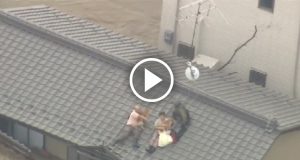 Durante una violenta alluvione, arrivano i soccorsi ma la coppia si rifiuta di essere salvata senza i loro amati cani
