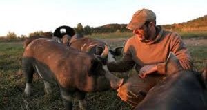 Quest’uomo allevava bestiame da macellare, ma non sapeva che un giorno gli avrebbero cambiato la vita