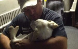 Questo camionista ha usato il suo lavoro per salvare più di 30.000 cani condannati.