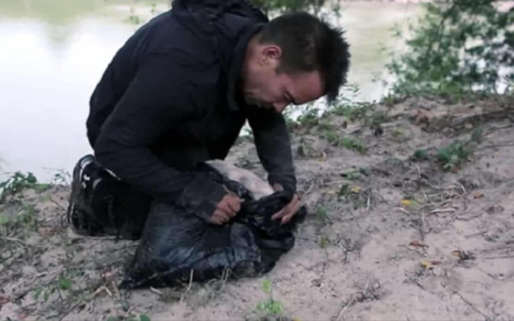 Trova un cucciolo gettato in acqua all’interno di una busta