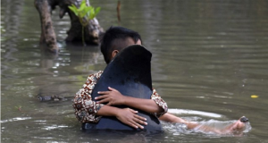 Bambino protegge un bebè di balena incagliata, mentre gli abitanti del luogo cercano di salvare la sua famiglia
