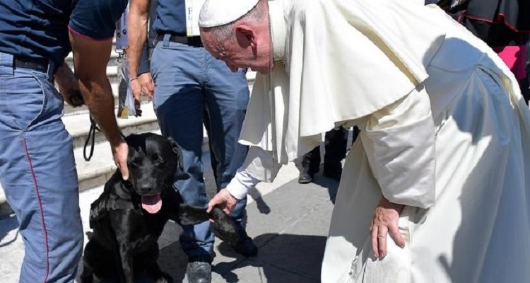 Terremoto centro Italia. Il papa Francesco incontra Leo, il cane eroe che salvò Giorgia dalle macerie