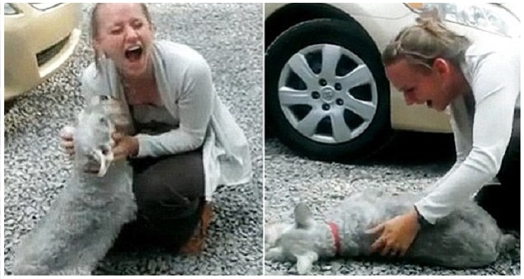 Lei torna a casa dopo due anni di assenza e la reazione del suo cane
