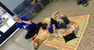 Una madre piange nel vedere suo figlio autistico relazionarsi con il suo primo amico: un cane…
