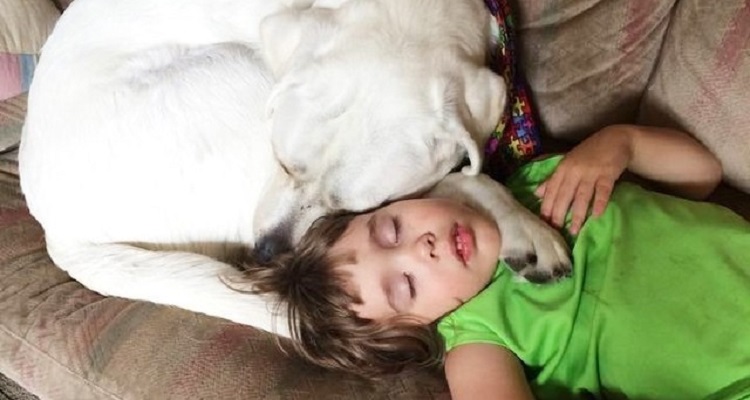 “Mio figlio autistico non riusciva a dormire. Ma adesso nella sua vita c’è il nostro cane Lego che durante la notte va a caccia di incubi”