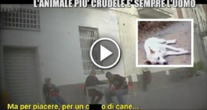 La scoperta scioccante di “Le Iene”: i 4 ragazzi che hanno tolto la vita ad Angelo a colpi di pala, hanno alle spalle un intero paese che li giustifica.