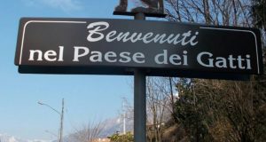 In Italia esiste il “Paese dei gatti”. Potrebbe essere a pochi km da casa tua, perché non farci un salto? Ecco dove si trova questo posto unico.