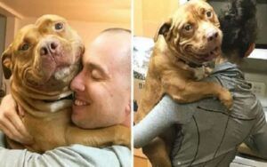 Questo cane non ha mai smesso di sorridere da quando è stato adottato da un rifugio