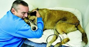 Trova la casa in fiamme con il suo cane all’interno: “C’era solo una cosa che potevo fare…Il calore delle fiamme e il fumo erano accecanti e troppo intensi per permettermi di continuare la ricerca…”