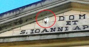 Pisa – Parroco appende conigli fuori dalla chiesa per scacciare i piccioni, scatta l’indignazione nel web…