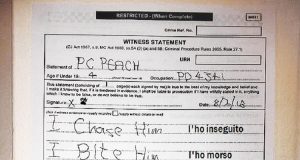 Il pubblico ministero continuava a chiedere una dichiarazione scritta dall’ufficiale Peach, un cane K9. Ecco la comica risposta degli agenti…