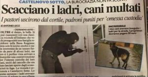 Scacciano i ladri e i cani vengono multati