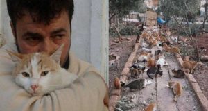 Un ricovero per animali in Aleppo è stato bombardato, ma quest’uomo non si arrende. Hanno bisogno di aiuto…