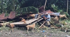Si trovava nel mezzo dell’uragano Otto. Si è rifiutato di essere salvato senza i suoi 4 cani ed è rimasto lì a guardare la sua casa che crollava…Ecco l’incredibile storia di Antonio