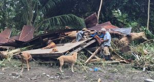Si trovava nel mezzo dell’uragano Otto. Si è rifiutato di essere salvato senza i suoi 4 cani ed è rimasto lì a guardare la sua casa che crollava…Ecco l’incredibile storia di Antonio