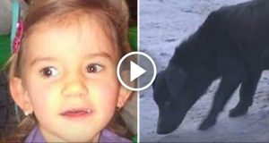 Julia di 3 anni si era persa nelle paludi della gelida Polonia: “Quando abbiamo trovato la bambina viva siamo rimasti senza parole nel capire come aveva fatto a sopravvivere…”
