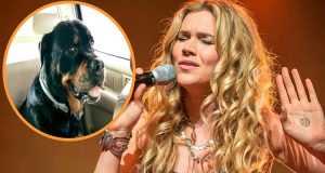 La cantante Joss Stone cancella i suoi concerti per occuparsi di Missy, la sua cagnolina malata