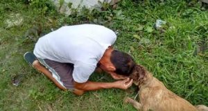 L’uomo si avvicinò al cane randagio che stava morendo: “nessun essere innocente merita di morire solo e abbandonato, anche se non ci fosse stato nulla da fare, volevo che sentisse che non era solo.”