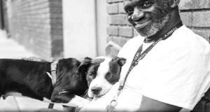 Una lodevole iniziativa: famosi fotomodelli texani posano insieme ai cani di un rifugio per aiutarli a trovare una casa per sempre