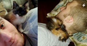 “Non sapevo cosa significasse avere un gatto, mi ha cambiato la vita! Vi racconto la storia tra me e Callie…”