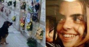 “Dopo di Te, Lei.” Kyra ogni giorno va con papà Mario a trovare il suo piccolo umano al cimitero. La storia che ha già rubato milioni di cuori!