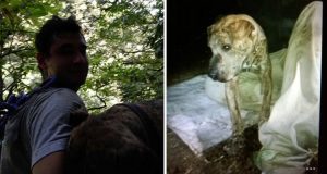 Ritrova la sua cagnolina ferita e perde la vita nel tentativo di salvarla dopo che era scomparsa giorni prima.